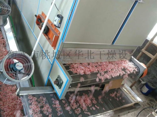 衡水干燥设备厂与衡水市桃城区华北干燥设备厂 专业干燥设备供应商概览